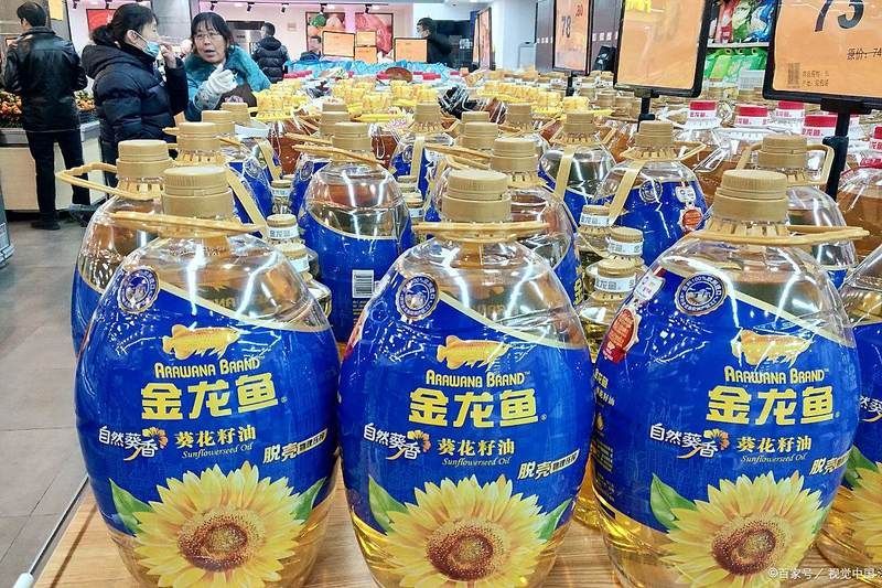 金龍魚廠家的地址在哪里？，金龍魚公司在哪里