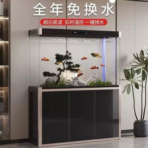 能提供一張龍魚缸擺放風水圖嗎