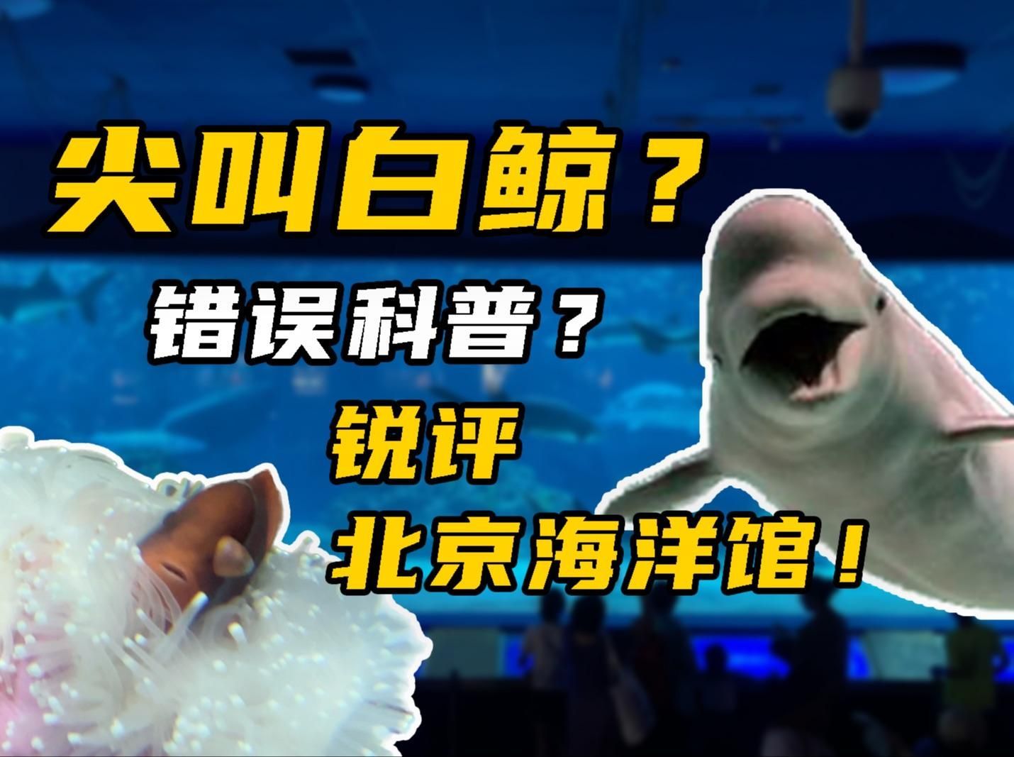 有哪些信譽(yù)良好的水族機(jī)構(gòu)推薦，信譽(yù)良好的水族機(jī)構(gòu)推薦