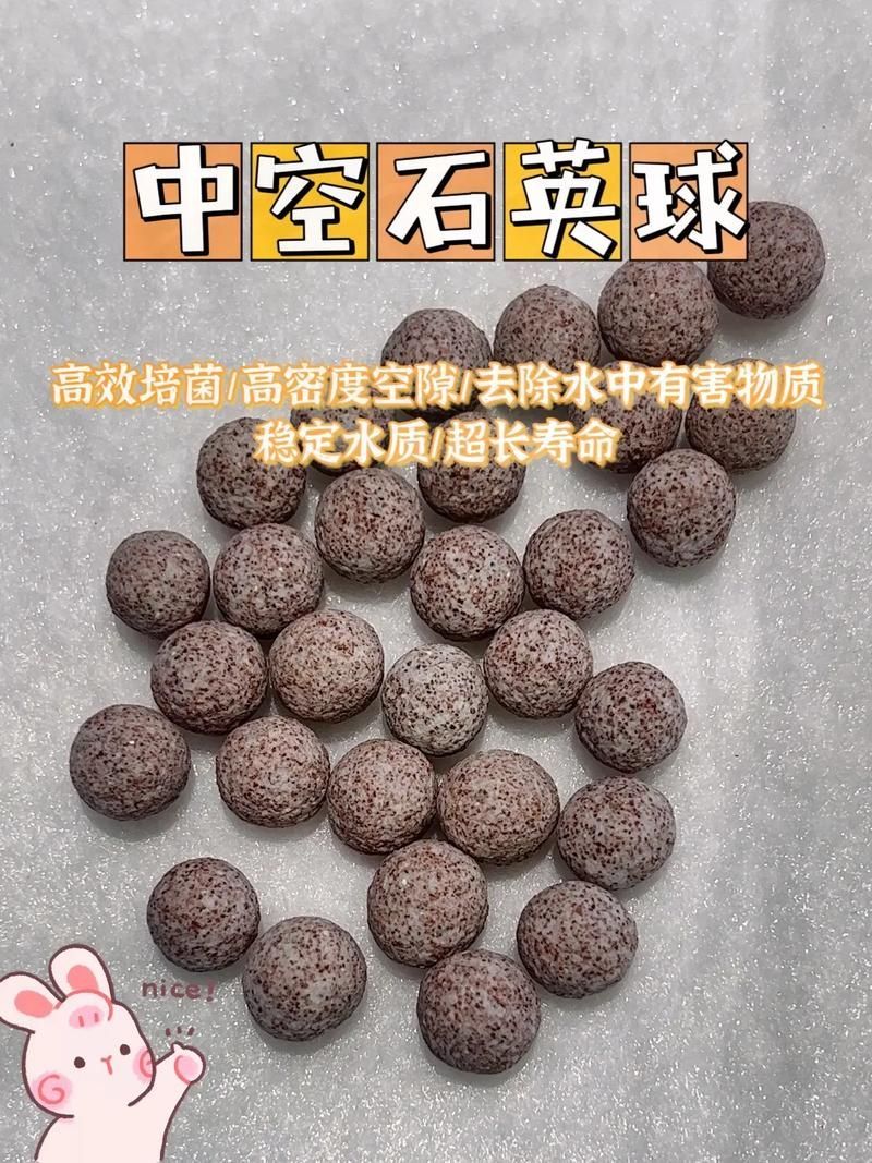 有哪些品牌濾材適合龍魚缸？，哪些品牌濾材適合龍魚缸？