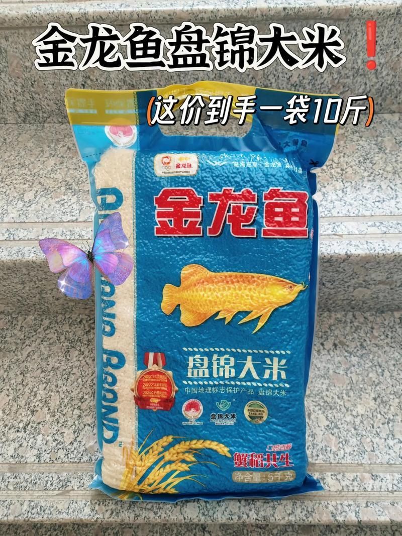10斤真空金龍魚，金龍魚10斤真空包裝大米