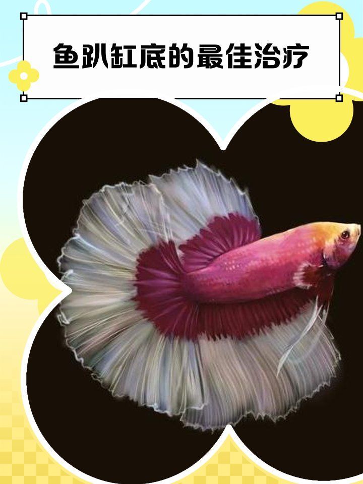 魚趴缸加鹽有用嗎，魚趴缸加鹽有用嗎,