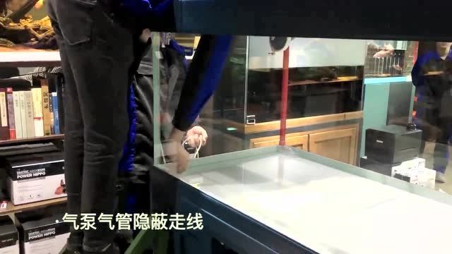 久鼎和彩鰈哪個更適合新手？，久鼎與彩鰈哪個更適合新手？