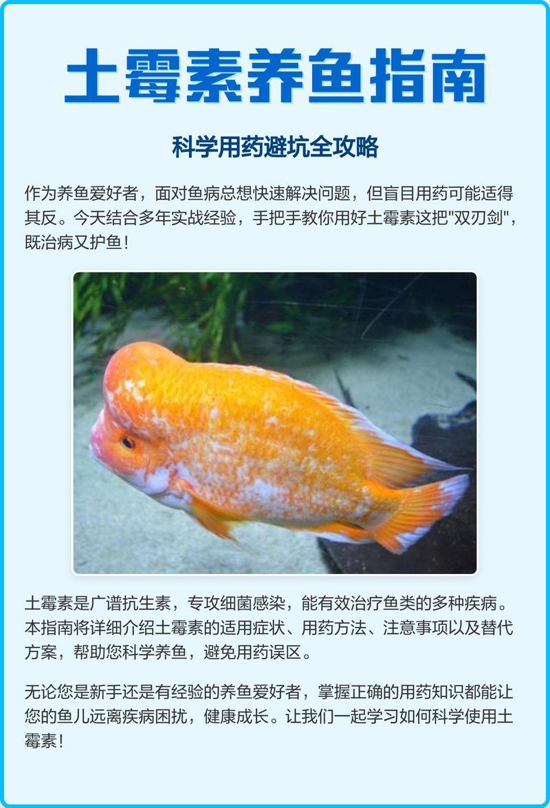 龍魚1號藥有哪些副作用，“龍魚1號藥”的副作用