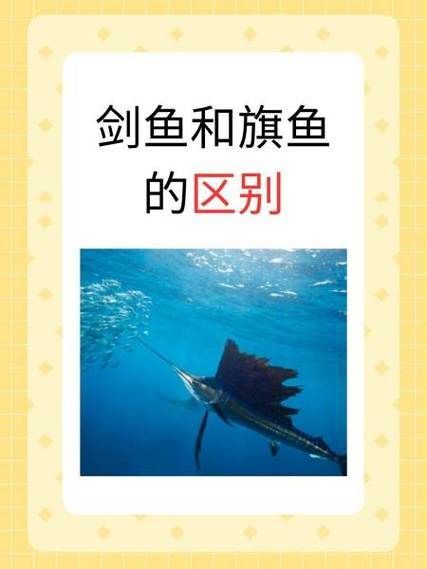 如何判斷魚鰭根部發紅是否嚴重,如何判斷魚鰭根部發紅