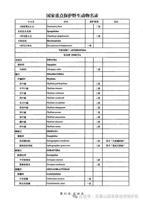 如何合法地食用其他保護動物，2020年全國人大常委會澄清：如何合法地食用其他保護動物