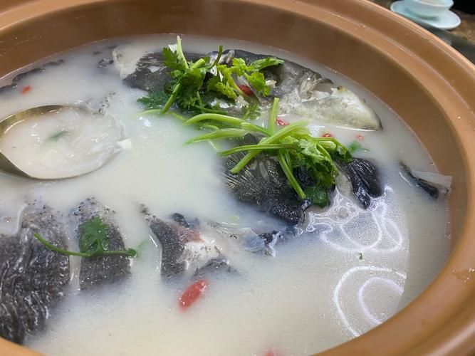 龍魚湯的具體做法，龍魚湯的具體做法,