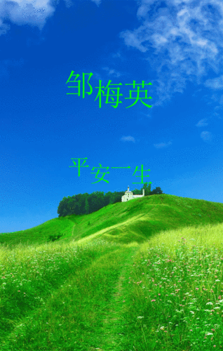 有哪些適合手機的免費動態壁紙