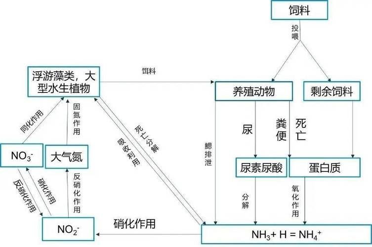 如何預防孔雀魚發白腐爛，如何預防孔雀魚“發白腐爛”