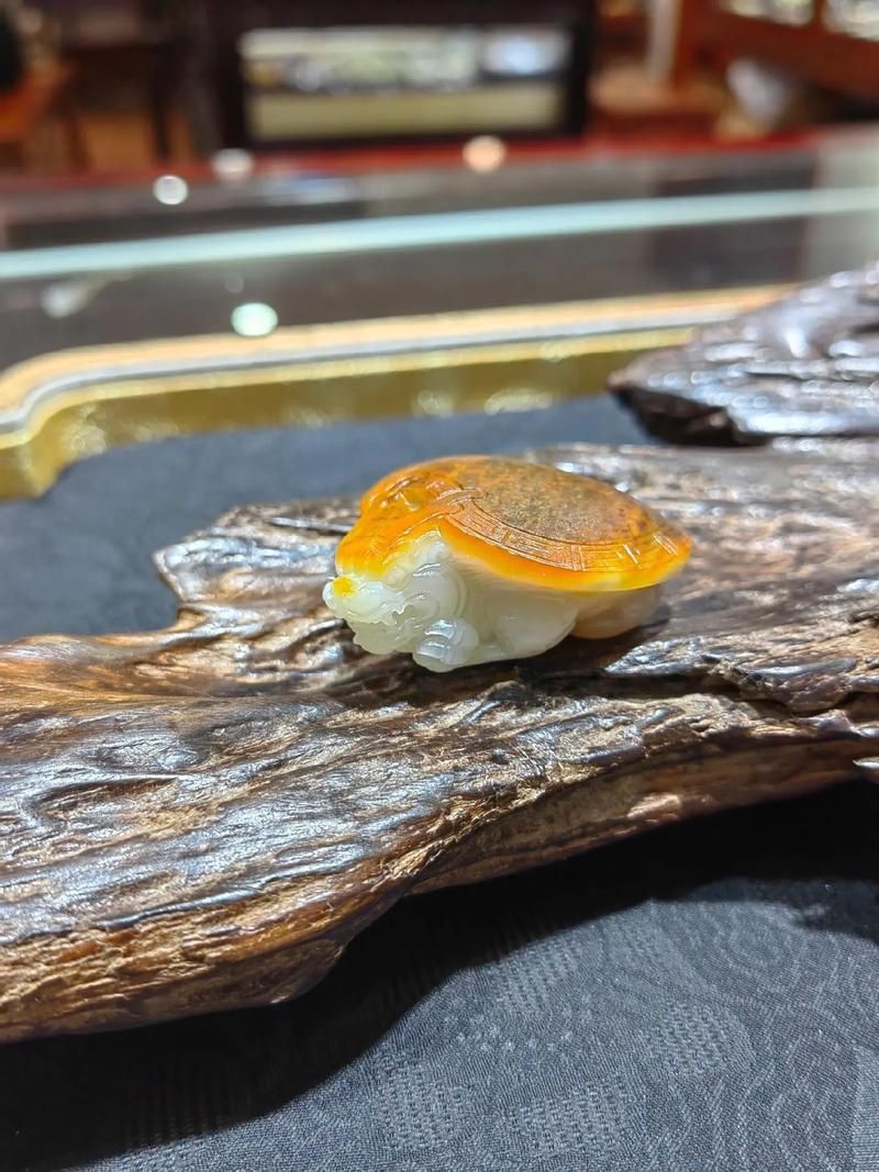 哪種材質的龍龜最有價值，什么材質的龍龜最有收藏價值