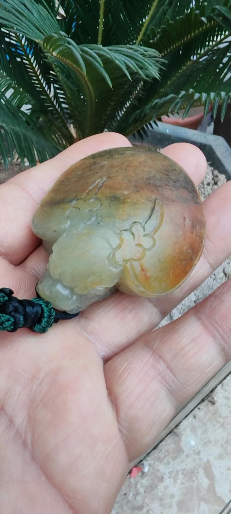 哪種材質的龍龜最有價值，什么材質的龍龜最有收藏價值