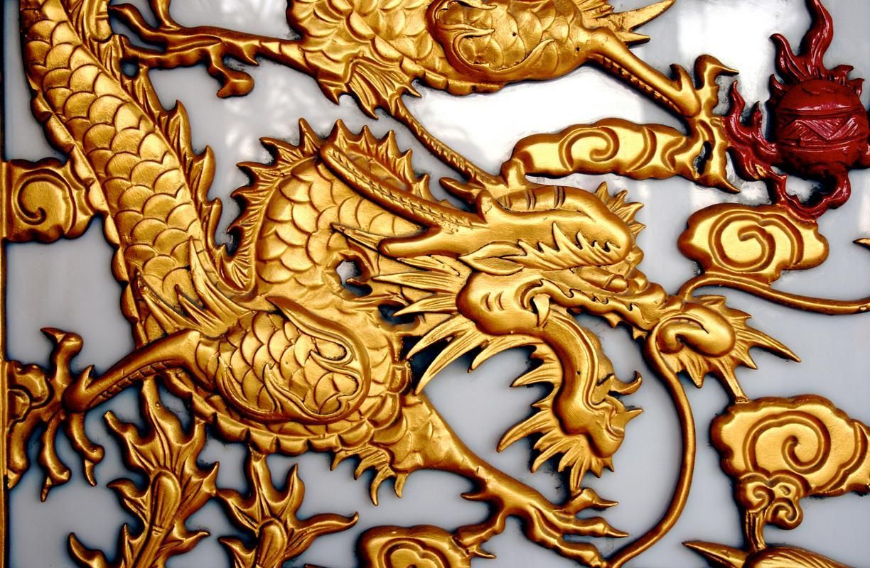 能給出更多古典金龍和過背金龍的圖片嗎，古典金龍和過背金龍的區(qū)別