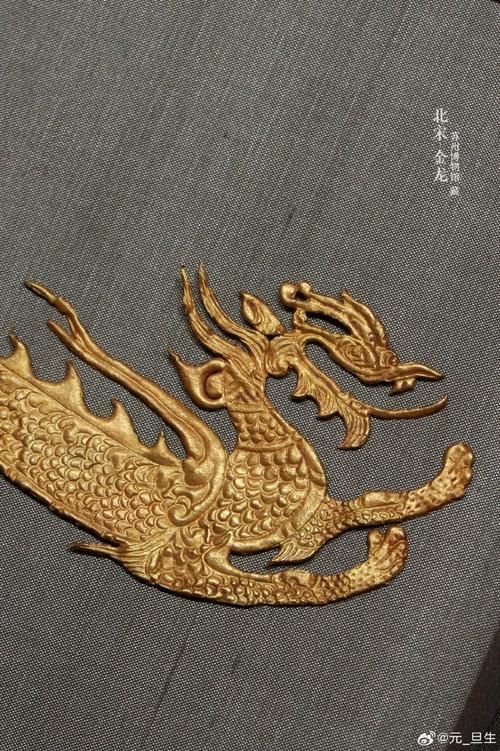 能給出更多古典金龍和過背金龍的圖片嗎，古典金龍和過背金龍的區(qū)別