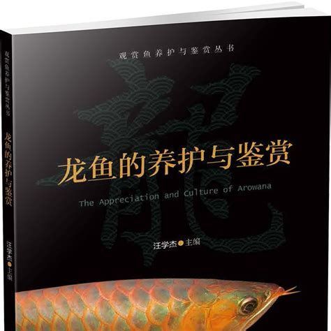 兩條龍魚怎么才能不打架，兩條龍魚怎么才能不打架，關(guān)鍵在于“空間足夠大”和“裝飾夠巧妙”