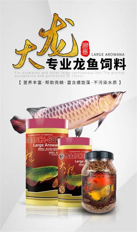 有哪些適合龍魚(yú)幼苗的餌料？，適合龍魚(yú)幼苗的餌料類(lèi)型