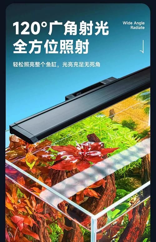 益科達YEE哪個型號最受歡迎,益科達yee魚缸燈哪個型號最受歡迎益科達yee哪個型號最受歡迎