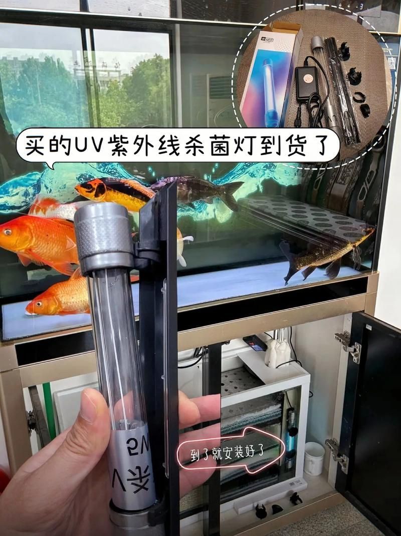 益科達YEE哪個型號最受歡迎,益科達yee魚缸燈哪個型號最受歡迎益科達yee哪個型號最受歡迎