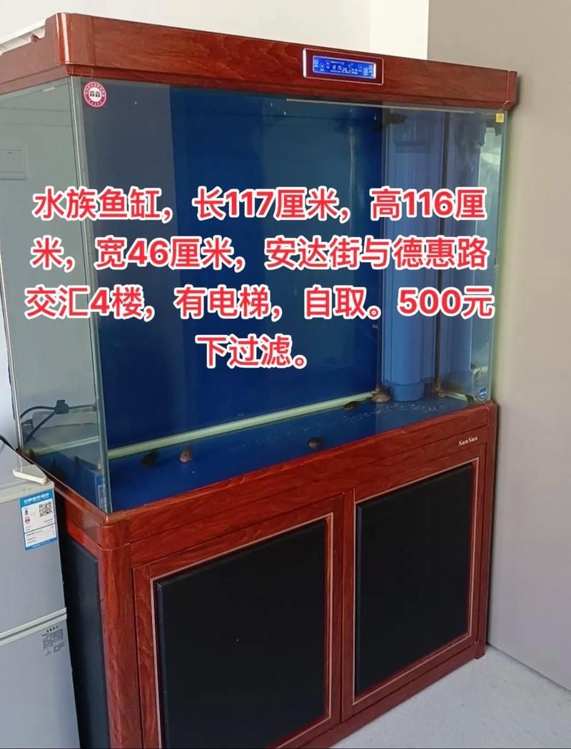 給我推薦一些適合養小火龍魚的水族箱，養小火龍魚的水族箱推薦