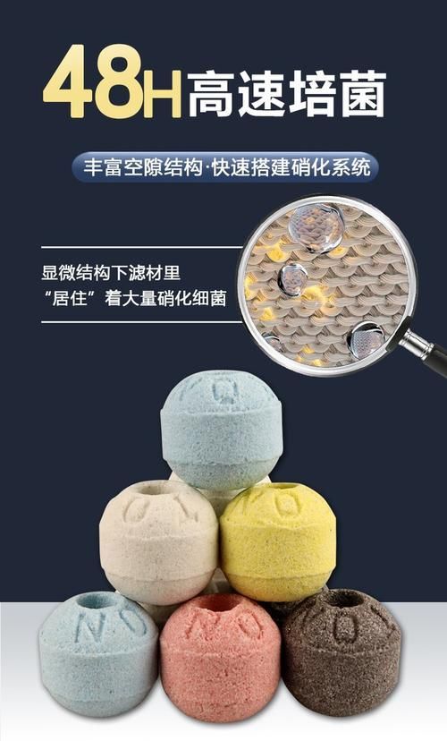 有哪些方法可以恢復(fù)魚缸菌群平衡，如何恢復(fù)魚缸生態(tài)平衡