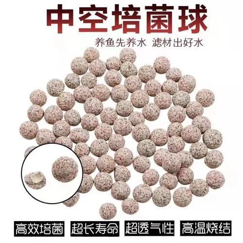 有哪些方法可以恢復(fù)魚缸菌群平衡，如何恢復(fù)魚缸生態(tài)平衡