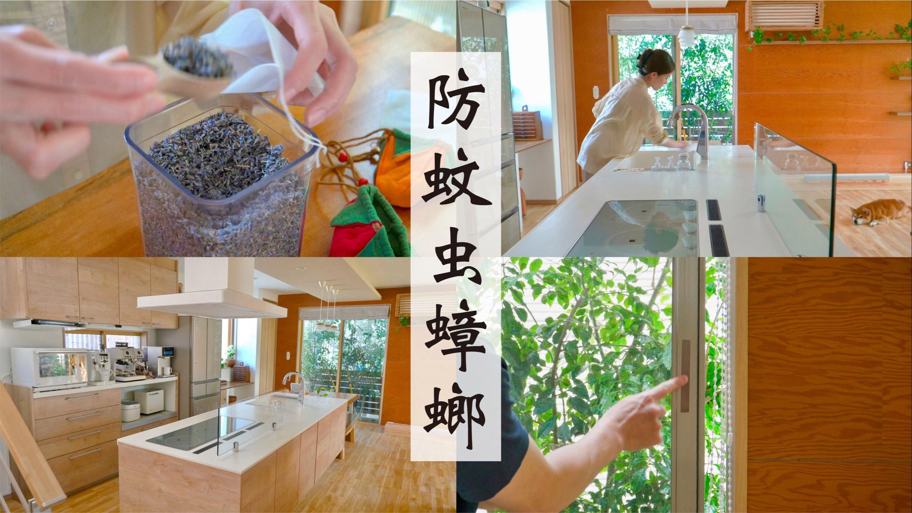 有哪些天然方法可以除蟲，天然除蟲方法多種多樣