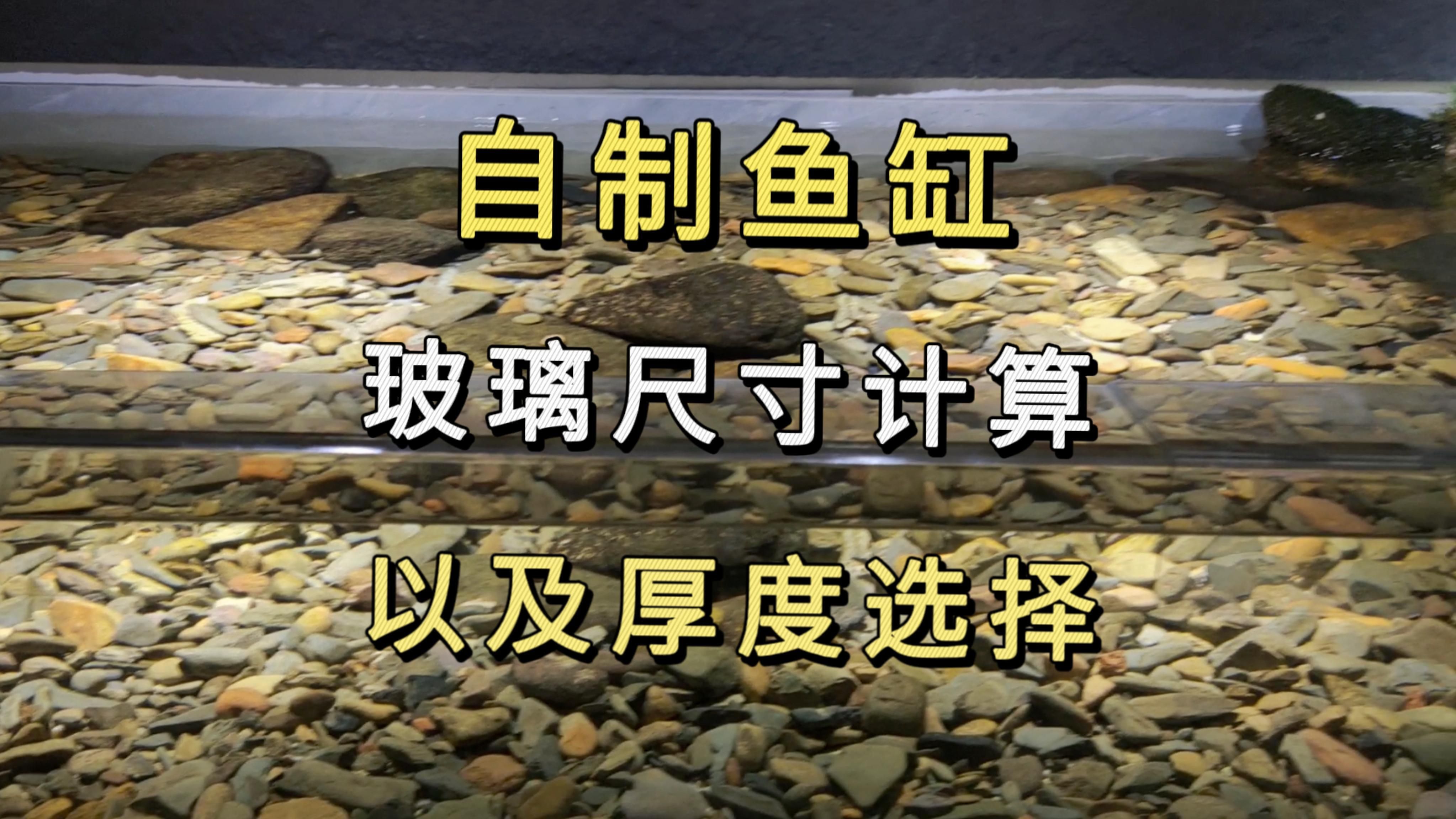 如何判斷龍魚缸的玻璃厚度？，如何判斷龍魚缸的玻璃厚度?