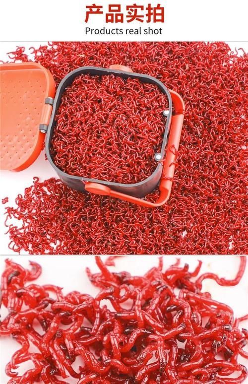 如何獲取四腳恐龍魚(yú)的活餌飼料？，墨西哥鈍口螈活餌飼料獲取四腳恐龍魚(yú)的活餌飼料