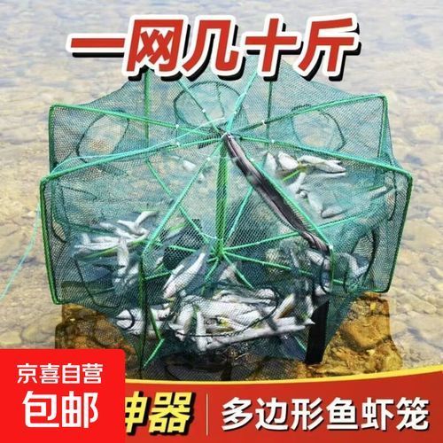 魚籠多少錢一個，魚籠價格因尺寸、材質和設計的不同而有所差異