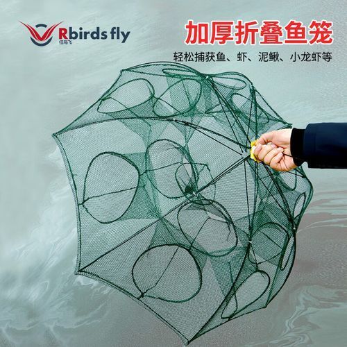 魚籠多少錢一個，魚籠價格因尺寸、材質和設計的不同而有所差異