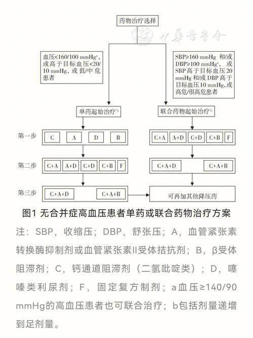 能再詳細解釋一下每種藥物治療方案嗎，-***注意事項**注意事項