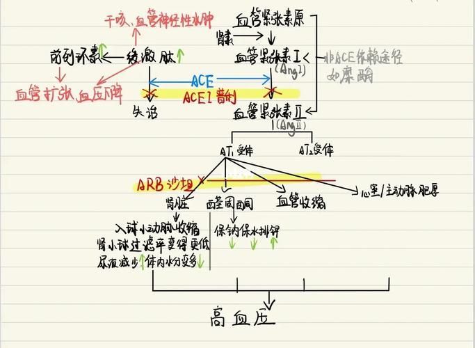 能再詳細解釋一下每種藥物治療方案嗎，-***注意事項**注意事項