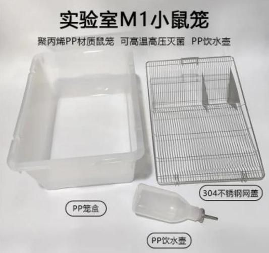 給我一份秘魯帝王鼠的飼養指南，秘魯帝王鼠的飼養指南