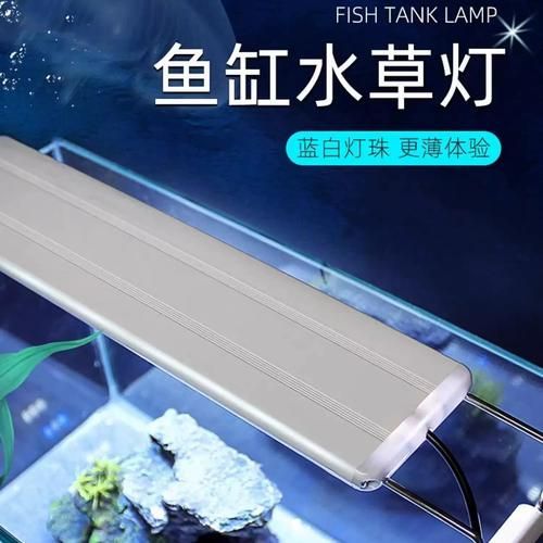 龍魚燈架和潛水燈的價格差異大嗎？，龍魚燈架與潛水燈的價格差異