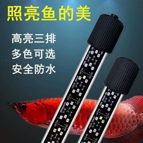 龍魚缸燈的最佳品牌推薦，龍魚缸燈品牌及其特點推薦龍魚缸燈品牌及其特點