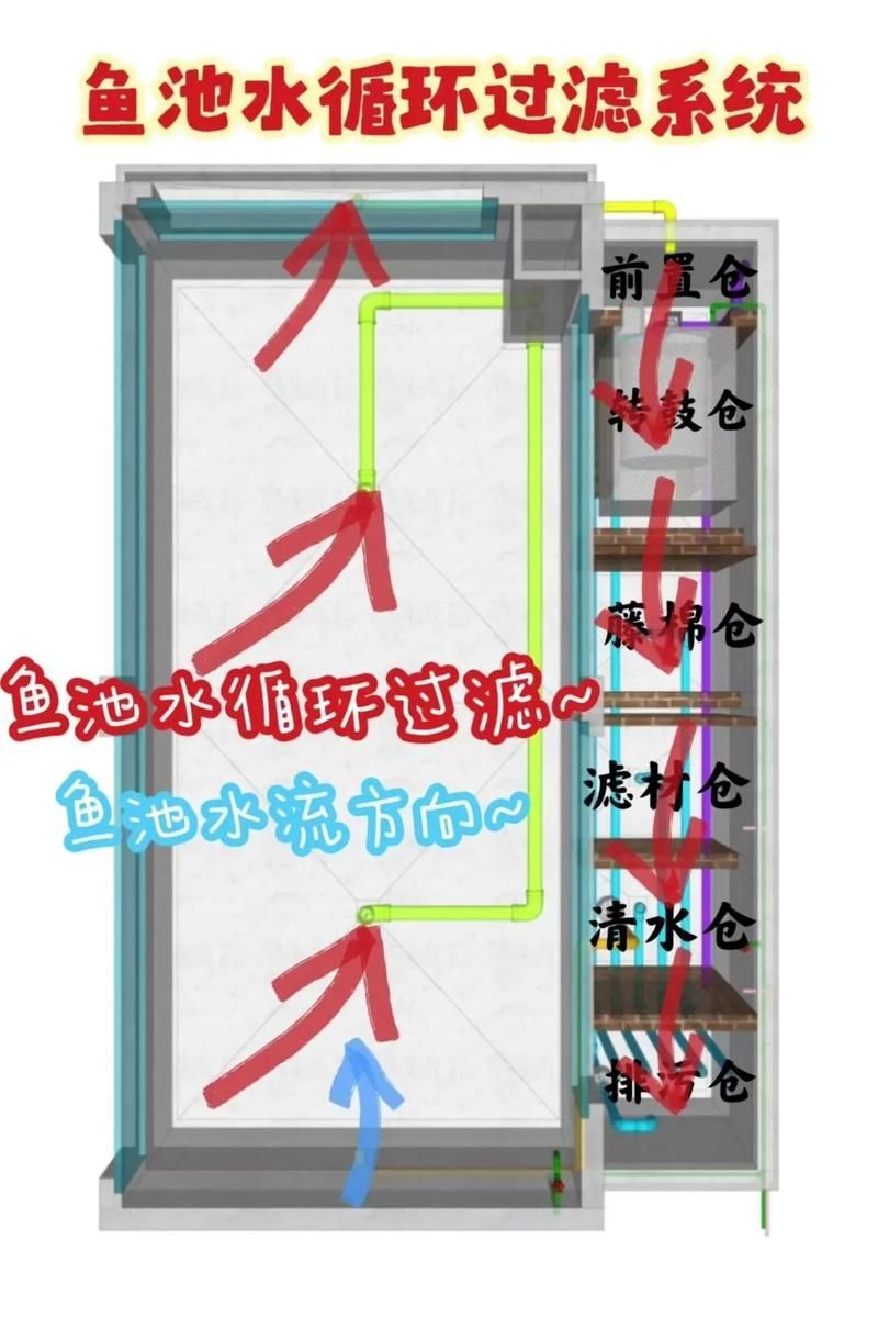 如何改善觀賞魚的水質環境，-化學-化學-化學-化學-生物三層結構圖