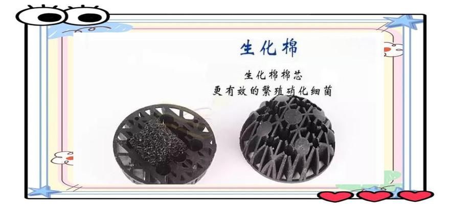 如何改善觀賞魚的水質環境，-化學-化學-化學-化學-生物三層結構圖