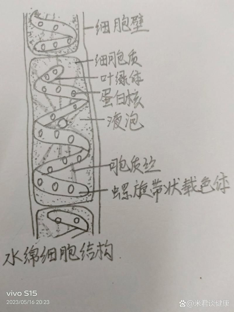 如何改善觀賞魚的水質環境，-化學-化學-化學-化學-生物三層結構圖