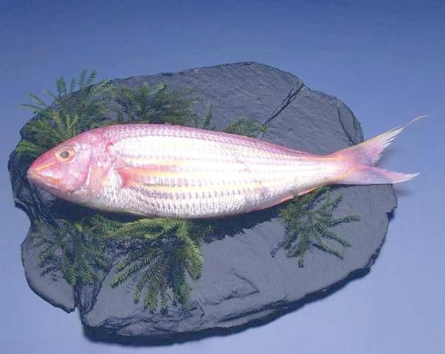 如何辨別金三間魚的品質？，如何辨別“金三間魚”