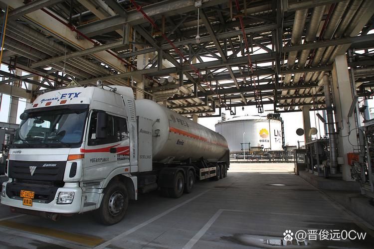 金龍魚上市后有哪些重大事件？，新加坡總理公開支持高市后金龍魚上市后有哪些重大事件