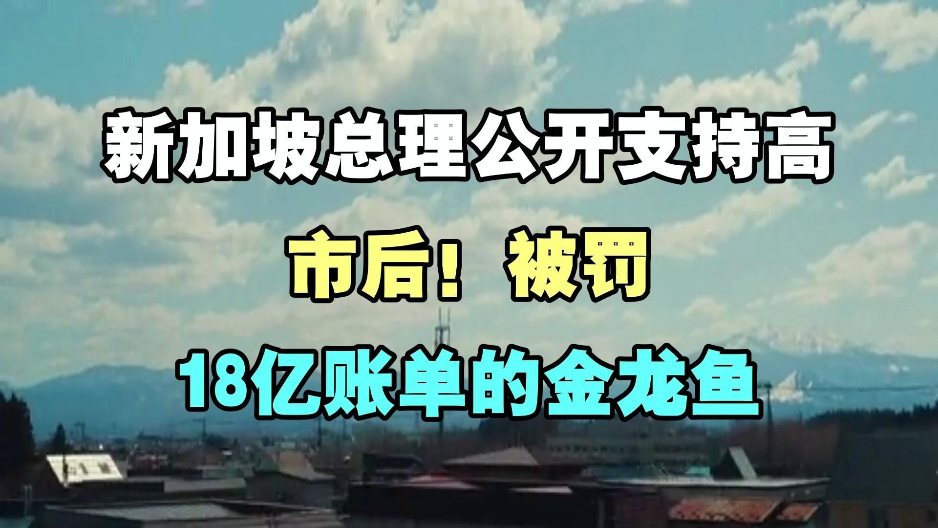 金龍魚上市后有哪些重大事件？，新加坡總理公開支持高市后金龍魚上市后有哪些重大事件