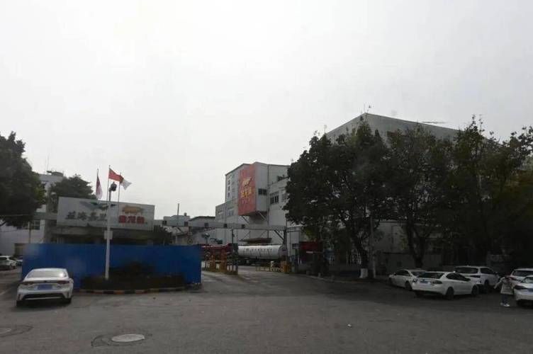 金龍魚上市后有哪些重大事件？，新加坡總理公開支持高市后金龍魚上市后有哪些重大事件