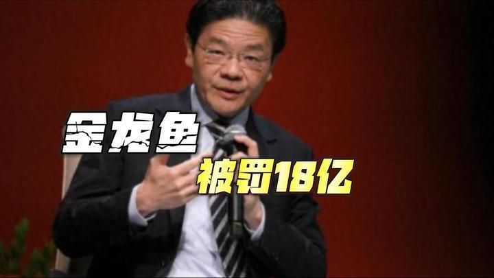 金龍魚上市后有哪些重大事件？，新加坡總理公開支持高市后金龍魚上市后有哪些重大事件