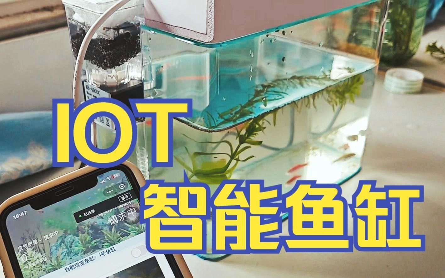 2025年魚缸市場趨勢，2025年全球魚缸市場趨勢
