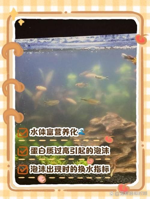 魚缸缺氧時如何急救，魚缸缺氧急救詳解