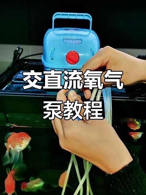 魚缸缺氧時如何急救，魚缸缺氧急救詳解