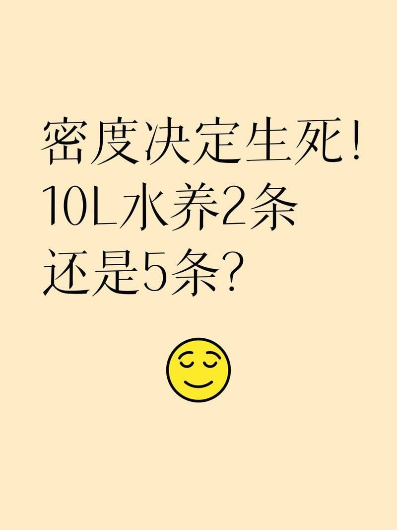 龍魚的數量如何選擇，如何正確的選擇龍魚