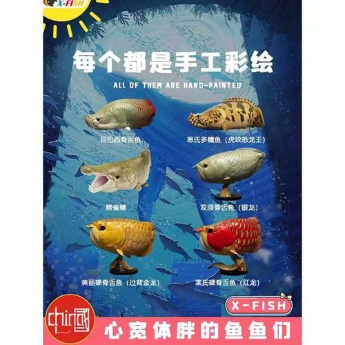 給我一些紅龍過背的圖片