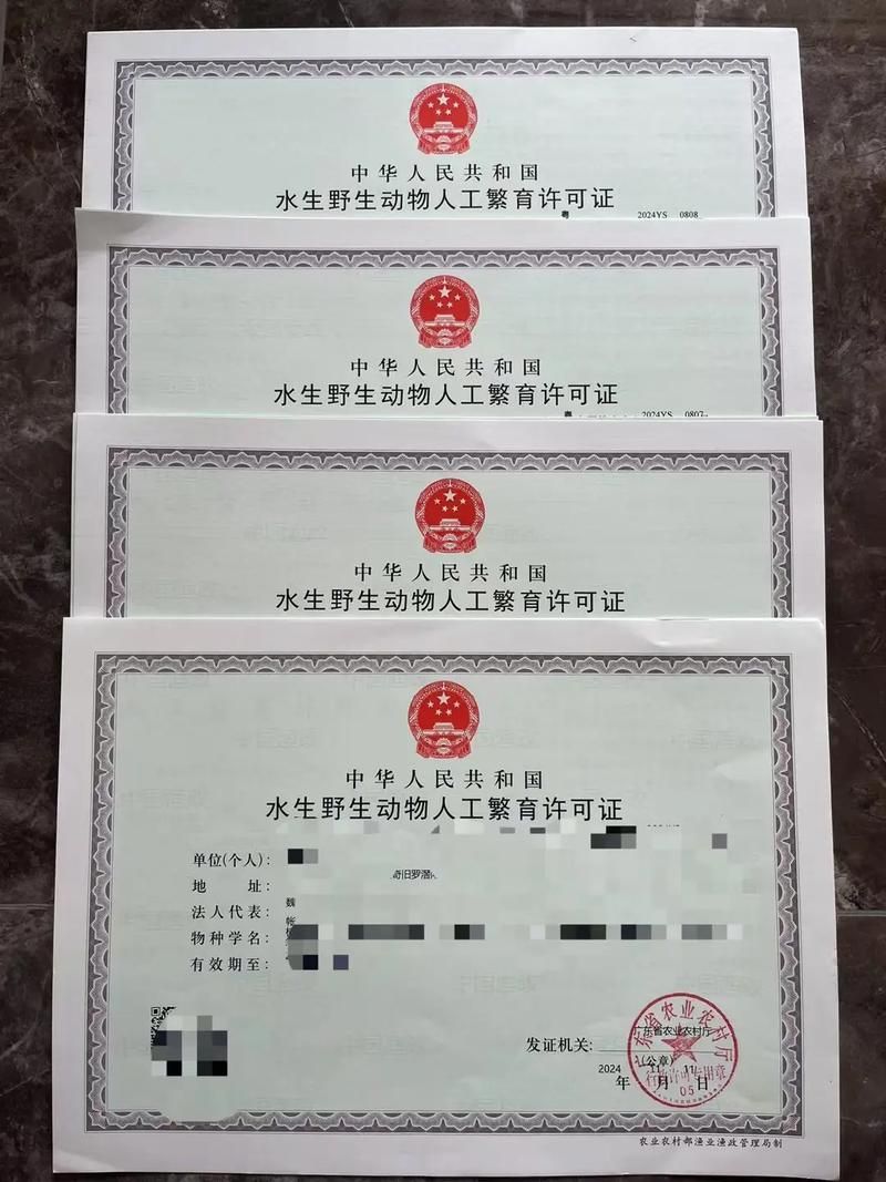 如何合法獲取六角龍魚的飼養許可？，六角龍魚飼養許可獲取六角龍魚（墨西哥鈍口螈）