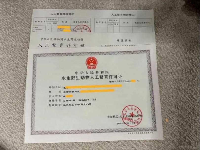 如何合法獲取六角龍魚的飼養許可？，六角龍魚飼養許可獲取六角龍魚（墨西哥鈍口螈）