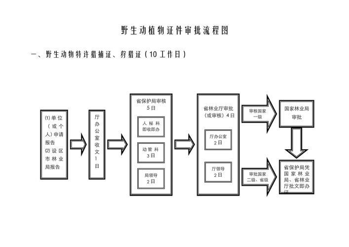如何合法獲取六角龍魚的飼養許可？，六角龍魚飼養許可獲取六角龍魚（墨西哥鈍口螈）